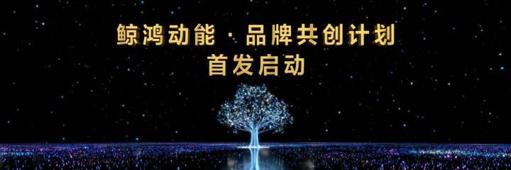 鯨鴻動能·品牌共創(chuàng)計(jì)劃發(fā)布 多項(xiàng)權(quán)益助力品牌激發(fā)無限潛能